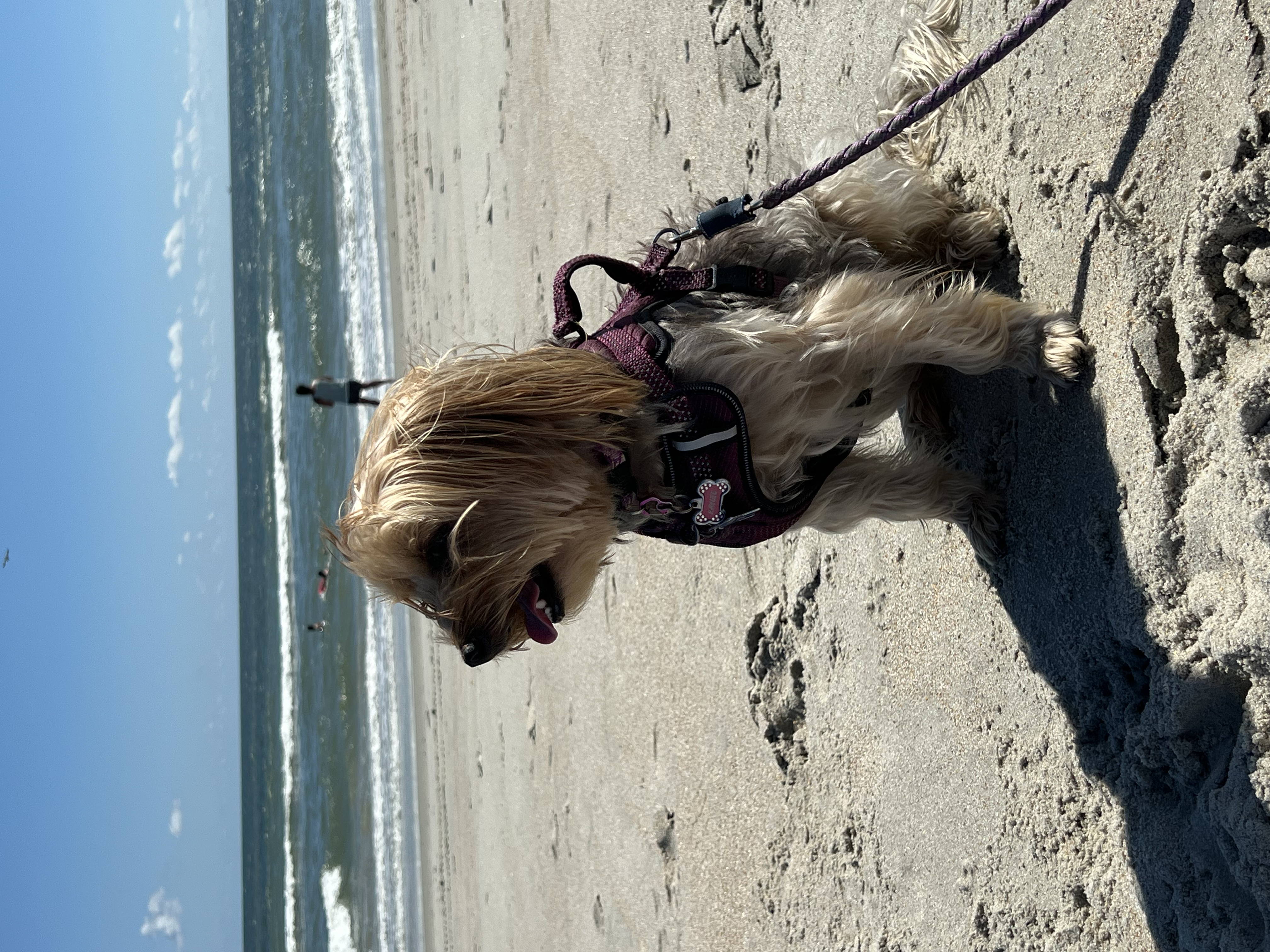 ./2024/10 - Myrtle Beach/IMG_2910.jpg